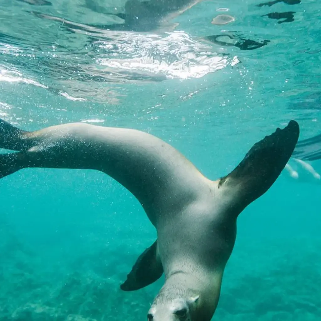 Explore Galapagos & Inca Trail Adventure (33 destinations) for 17 days with Intrepid Travel and discover unforgettable experiences - Photo 2
