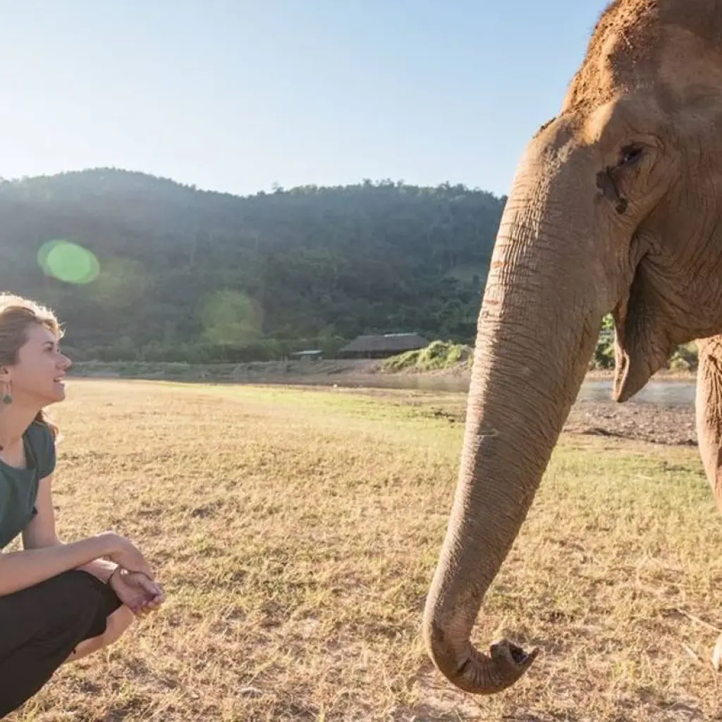 Explore Thailand & Laos Adventure for 13 days with Intrepid Travel and discover unforgettable experiences - Photo 2