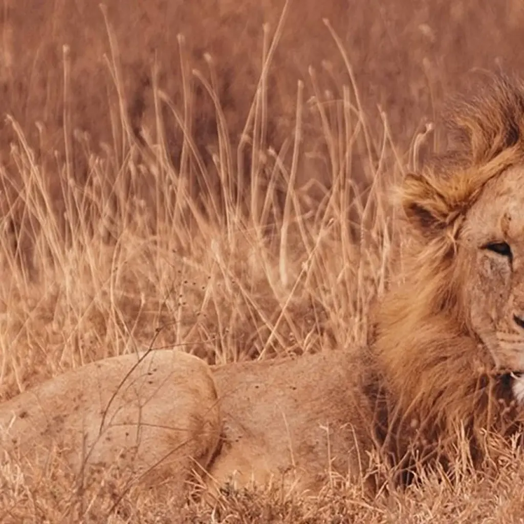 Explore Zanzibar to Nairobi (from Stonetown to Nairobi) for 12 days with Intrepid Travel and discover unforgettable experiences - Photo 2