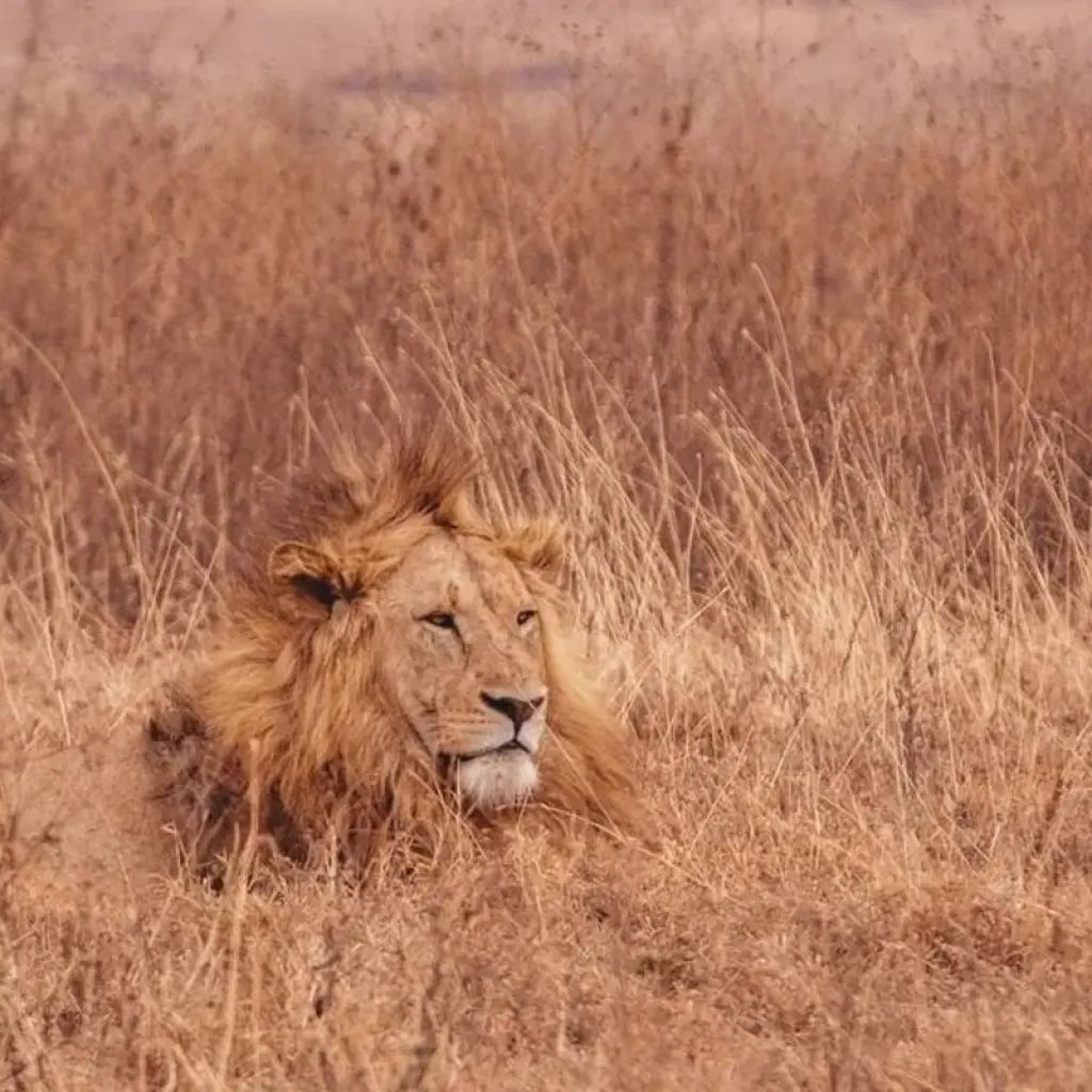 Explore Road to Zanzibar (9 destinations) for 12 days with Intrepid Travel and discover unforgettable experiences - Photo 2