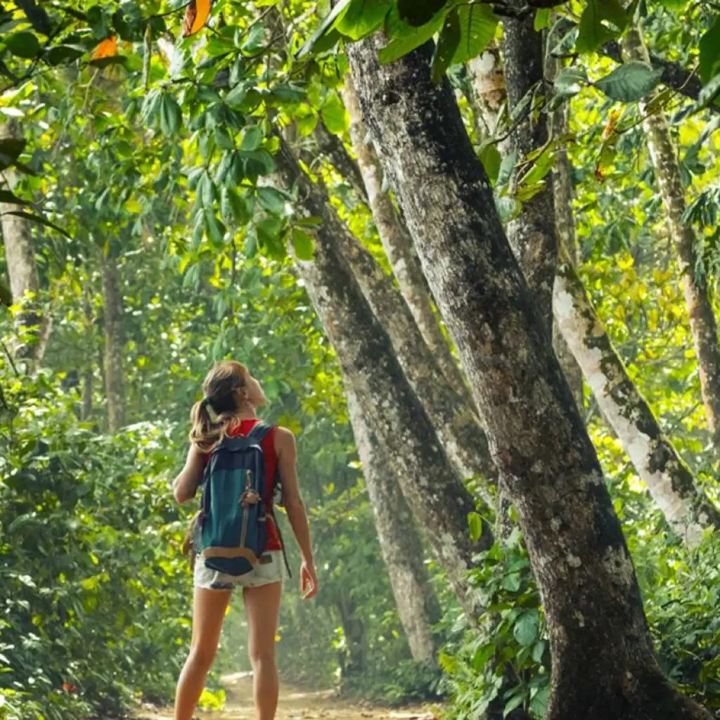 Explore One Week In Costa Rica (7 destinations) for 8 days with Intrepid Travel and discover unforgettable experiences - Photo 2