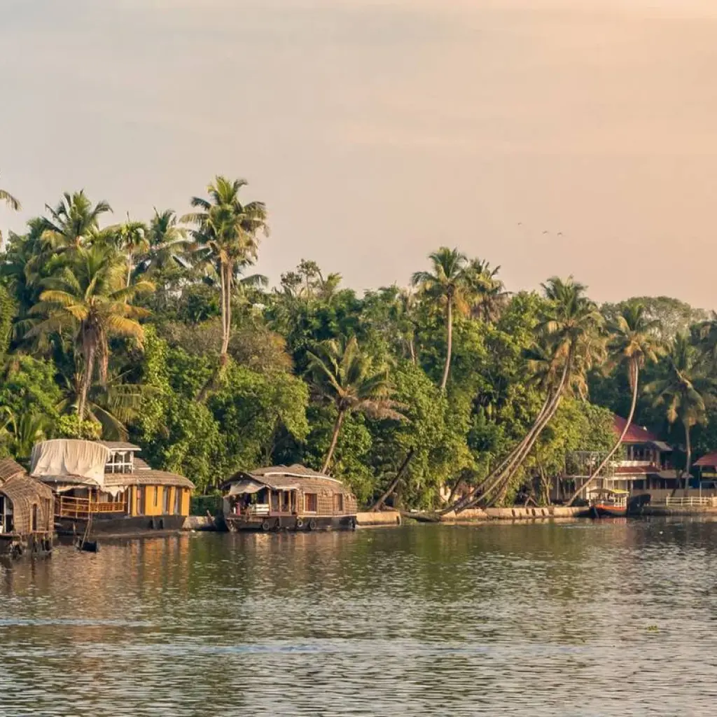 Explore India South & North (from Kochi (Cochin) to New Delhi) for 29 days with Intrepid Travel and discover unforgettable experiences - Photo 2