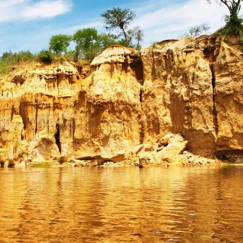 Explore Gorillas, Chimps & Nile River - 9 days for 9 days with On The Go Tours and discover unforgettable experiences - Photo 2