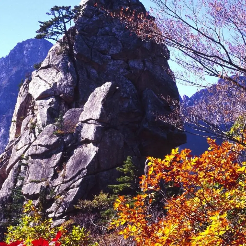 Explore Spectacular South Korea - 12 days for 12 days with On The Go Tours and discover unforgettable experiences - Photo 2