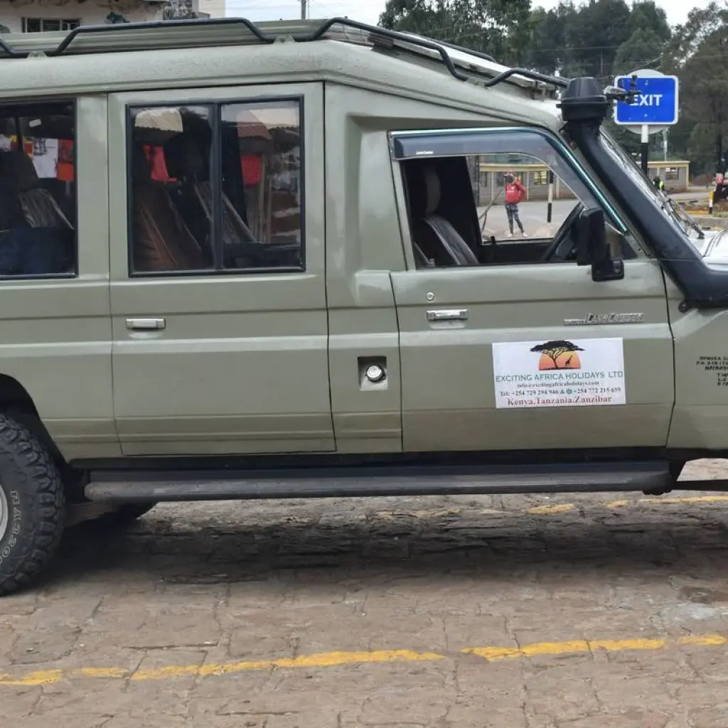 Explore 13 Days Kenya and Tanzania Small Group Camping Jeep  Safari for 13 days with Pam Tours and Travel  and discover unforgettable experiences - Photo 2