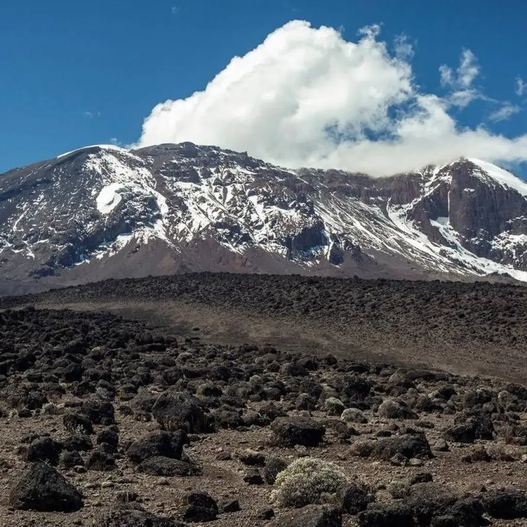 Explore 7 Days Mount Kilimanjaro Climb  - Machame Route for 7 days with Pam Tours and Travel  and discover unforgettable experiences - Photo 4