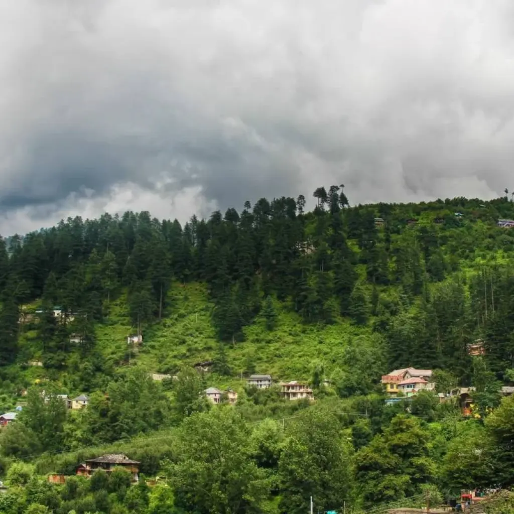 Explore Golden Triangle Tour with Shimla & Manali for 11 days with Panda Experiences and discover unforgettable experiences - Photo 2