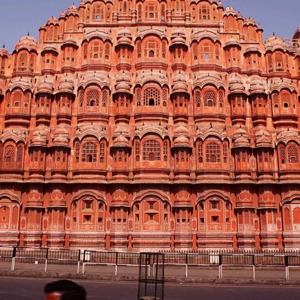 Explore 10 Days Wildlife Tour With Jaipur for 10 days with Panda Experiences and discover unforgettable experiences - Photo 2