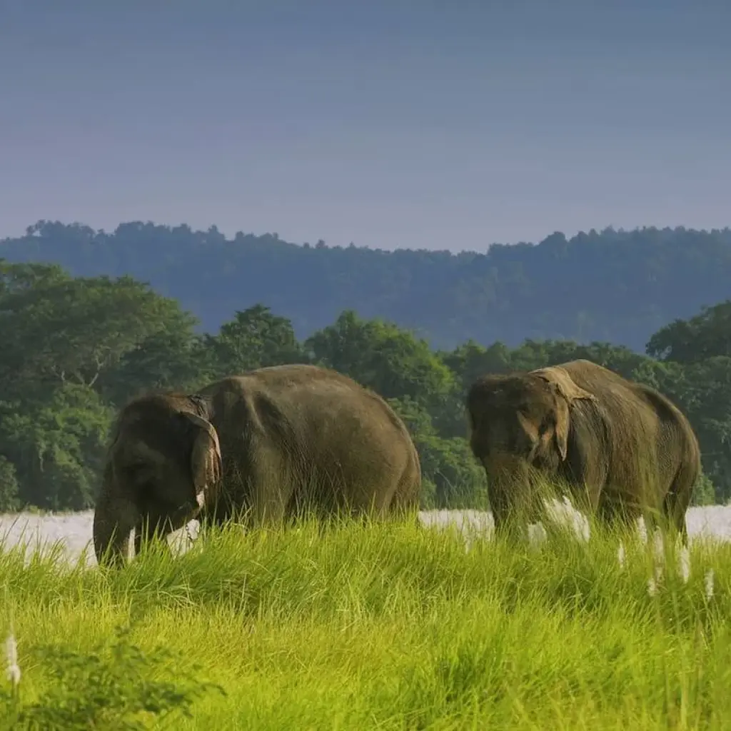 Explore India, Nepal and Bhutan Tour for 22 days with Panda Experiences and discover unforgettable experiences - Photo 2