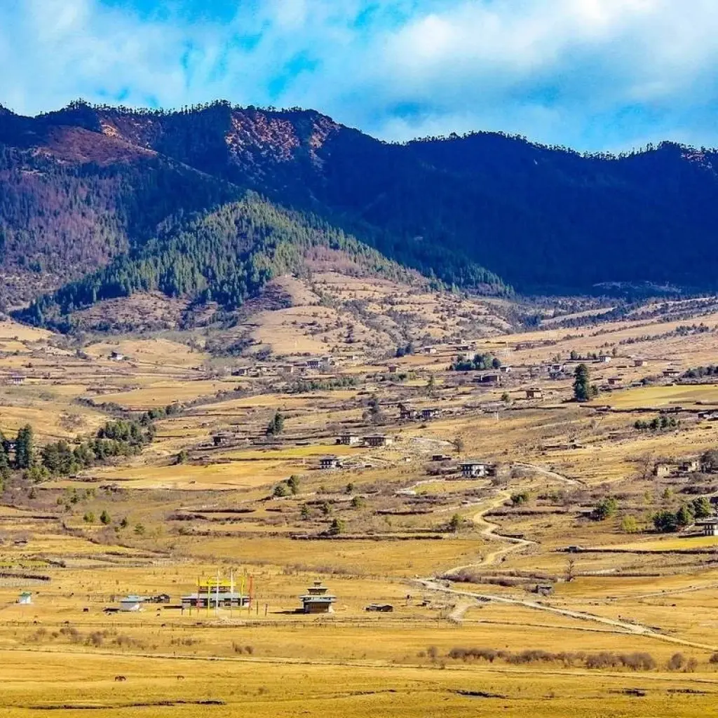 Explore Bhutan Heritage Tour : A Journey Through Timeless Traditions for 11 days with Passage Holidays and discover unforgettable experiences - Photo 2
