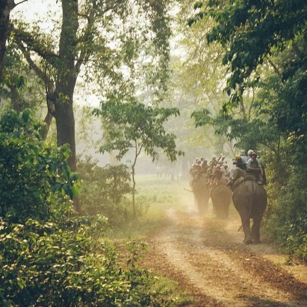 Explore Wonders of Nepal for 10 days with Passage Holidays and discover unforgettable experiences - Photo 2