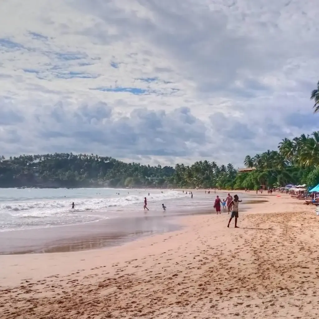 Explore Sri Lanka Wildlife for 11 days with Passage Holidays and discover unforgettable experiences - Photo 2