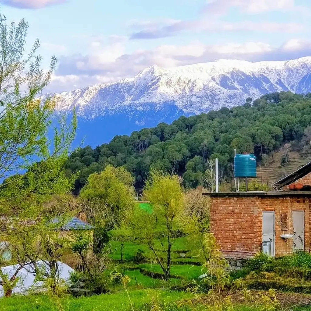 Explore Bestseller Golden Triangle of India and Nepal with trekking, flight included for 14 days with Payless tours india and discover unforgettable experiences - Photo 4