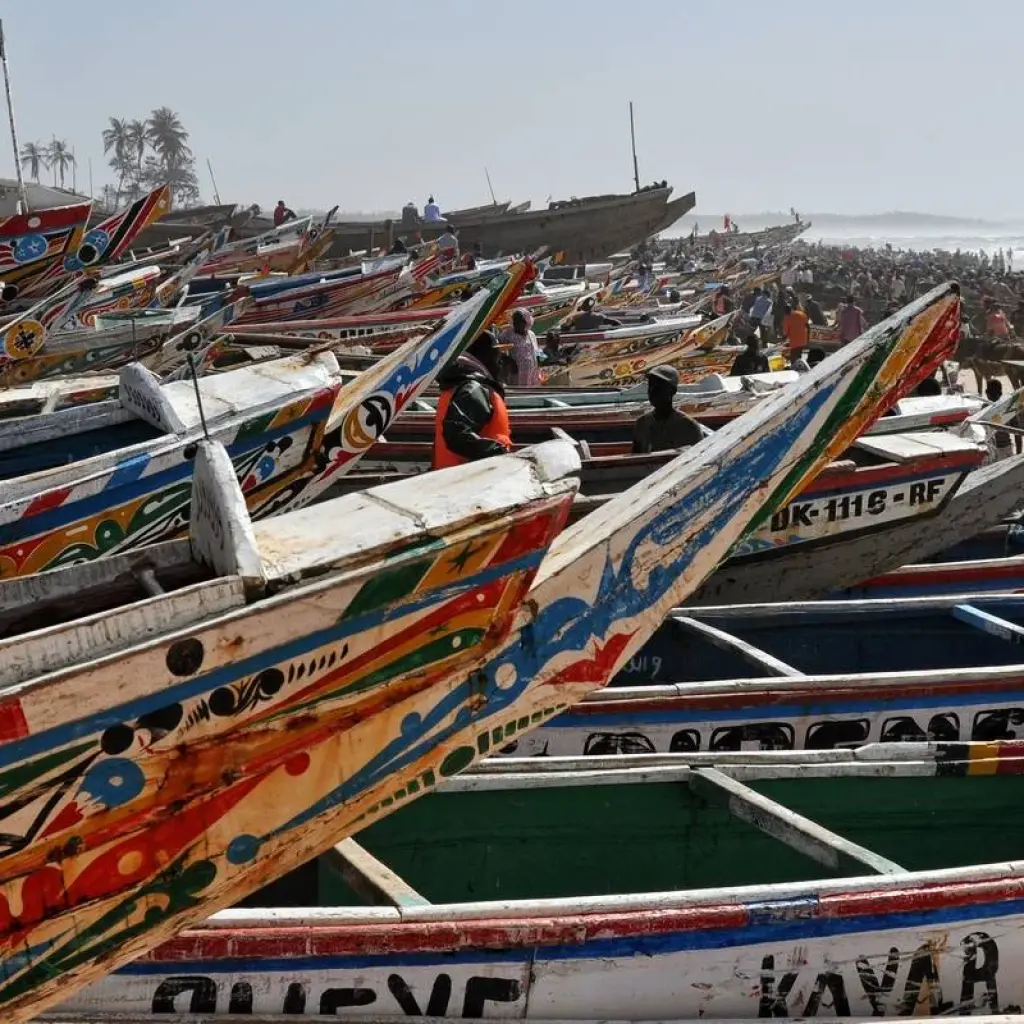 Explore Senegal and The Gambia: A Cultural and Wildlife Odyssey for 10 days with Penguin Travel and discover unforgettable experiences - Photo 2