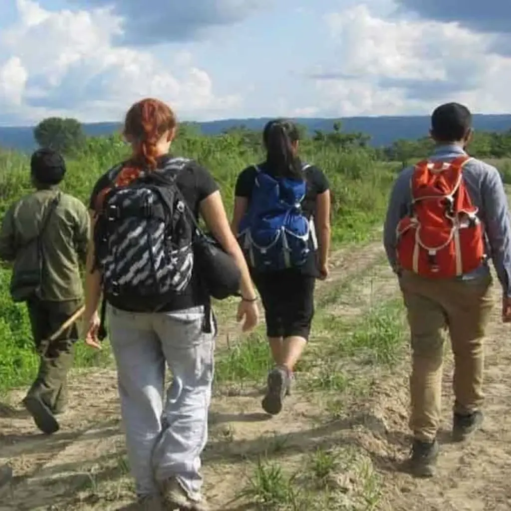 Explore Chitwan Jungle Safari 2 Night 3 Days for 3 days with Peregrine Treks and Expedition Pvt Ltd and discover unforgettable experiences - Photo 2