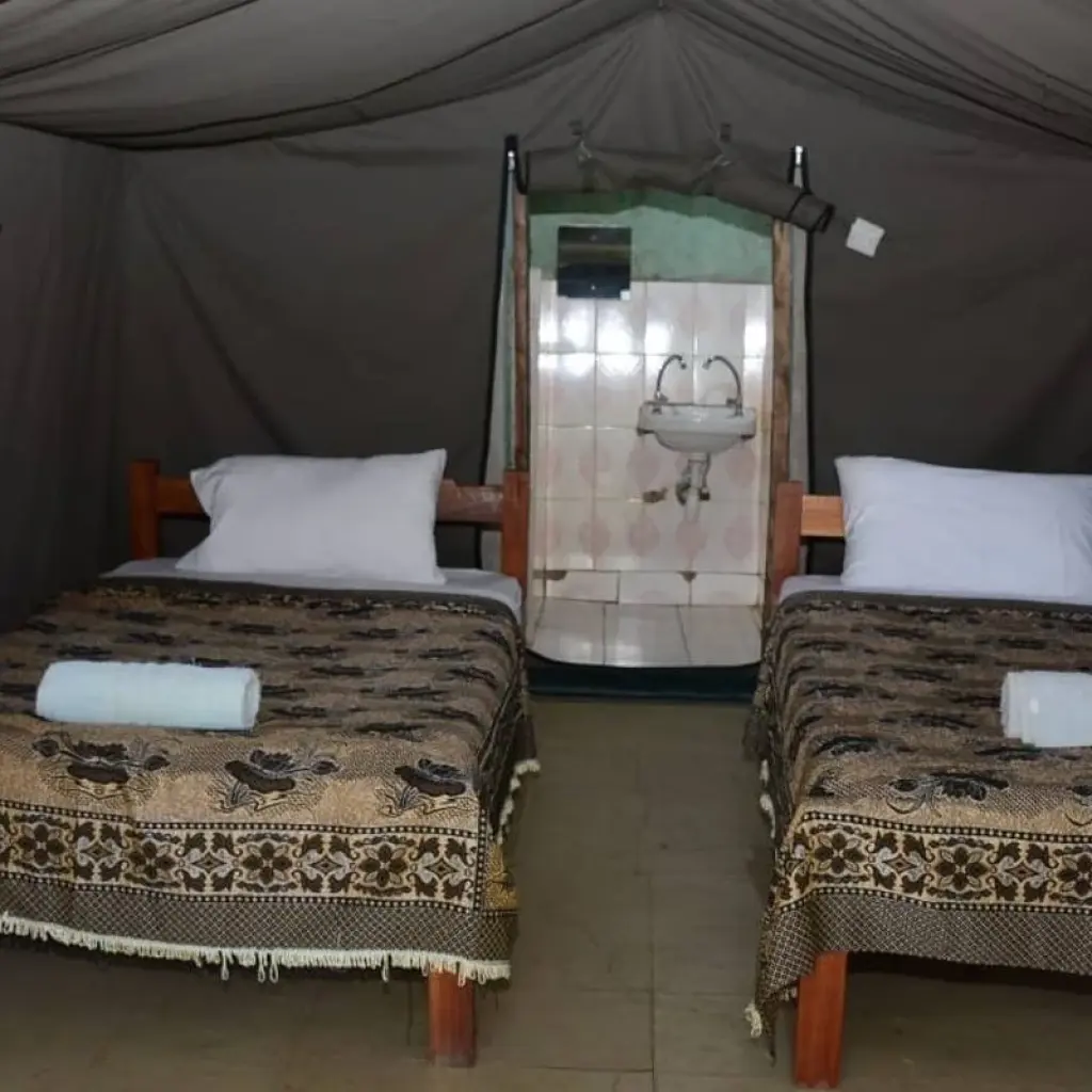 Explore 5 Days, 4 Nights Kenya And Tanzania Private Budget Camping Safari Package with Complimentary Airport Pickup. for 5 days with Perfect Wilderness Tours And Safaris and discover unforgettable experiences - Photo 2