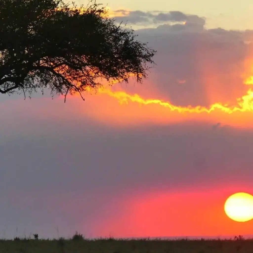 Explore Overnight safari to Tsavo East from Diani for 2 days with Perfect Wilderness Tours And Safaris and discover unforgettable experiences - Photo 2