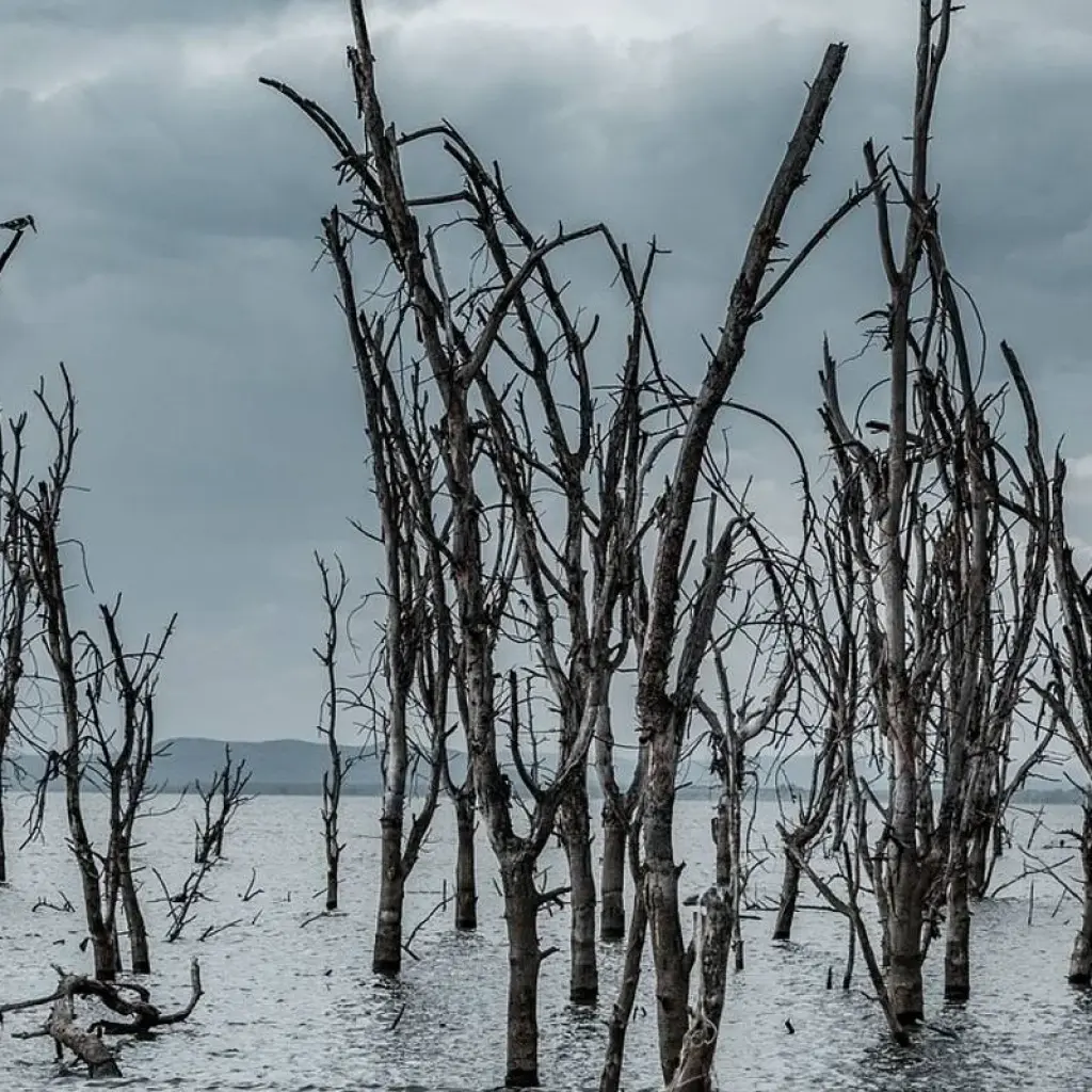 Explore 12-Day Kenya And Tanzania Private Lodge Safari From Nairobi with complimentary first night accommodation at Best Western plus Westlands Nairobi Hotel and free airport transfer. for 12 days with Perfect Safari Africa tours and safaris and discover unforgettable experiences - Photo 2