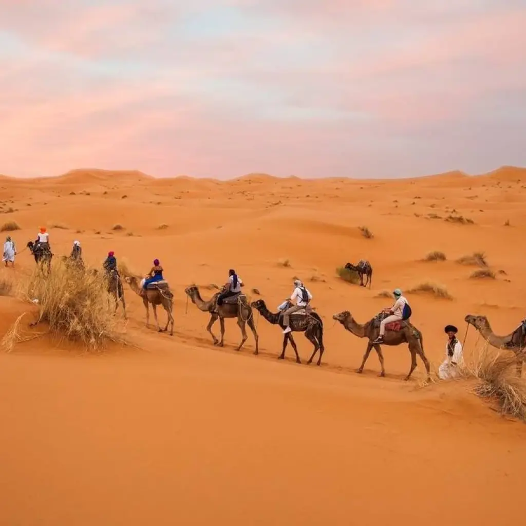 Explore Cultural 15 days  Morocco tours for 15 days with Perfectly Morocco Tours and discover unforgettable experiences - Photo 2