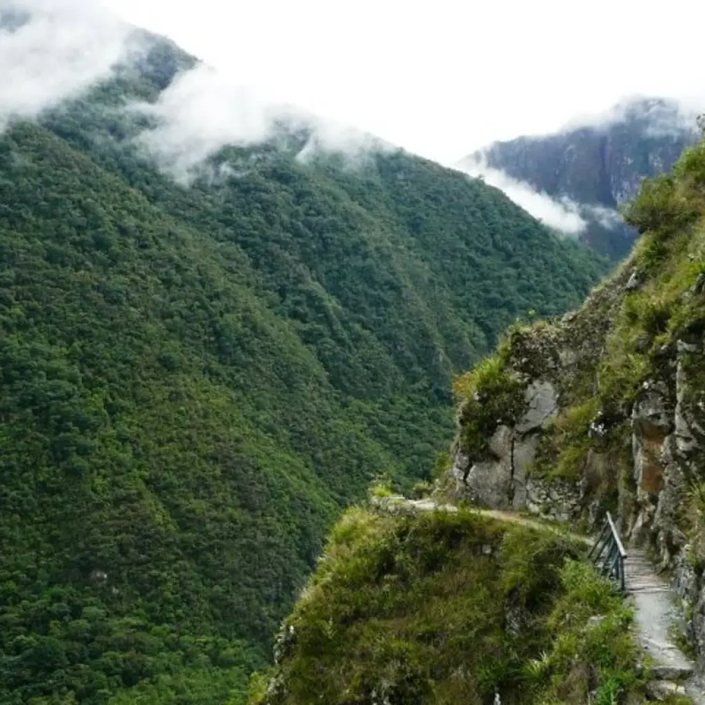 Explore INCA TRAIL TO MACHUPICCHU (1 DAY), LIMA & CUSCO for 7 days with Peru Trek 4 Good and discover unforgettable experiences - Photo 2