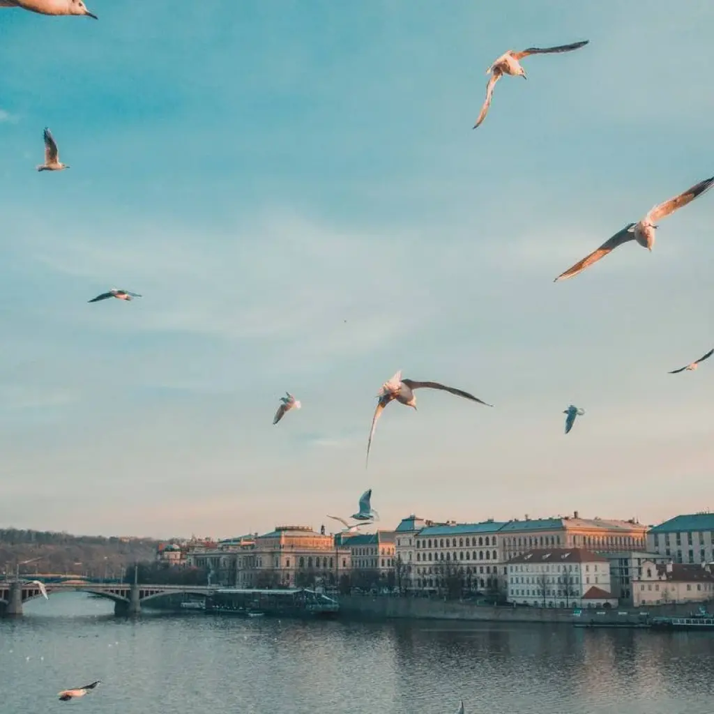 Explore Prague Weeekend Party - Stag or B Day celebration for 3 days with Prague Best Experience and discover unforgettable experiences - Photo 2