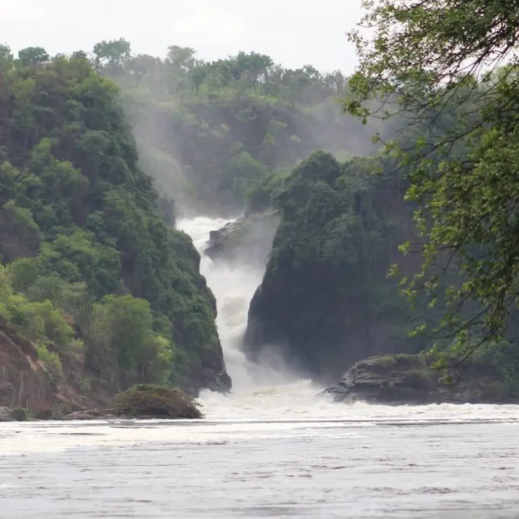 Explore Eastern Uganda Safari Trail for 12 days with Primate World Safaris (U) Ltd and discover unforgettable experiences - Photo 2