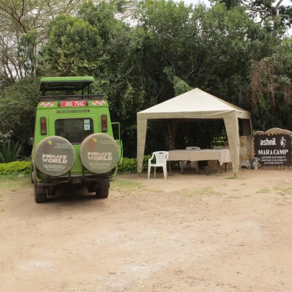 Explore 4 days Masai Mara Luxury Wildlife Safari for 4 days with Primate World Safaris (U) Ltd and discover unforgettable experiences - Photo 2