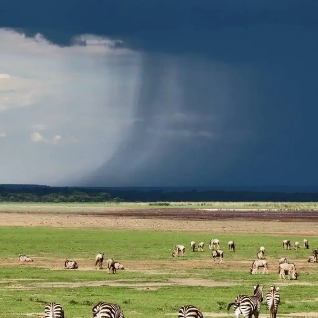 Explore Highlights of Tanzania for 9 days with Prime Safaris and discover unforgettable experiences - Photo 2