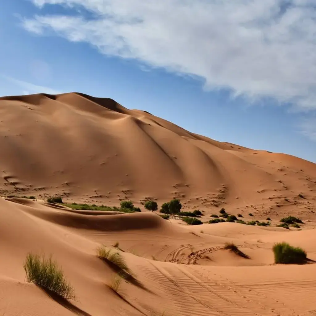 Explore Big Morocco Tour 11 Days – Citys – Desert – Ocian ( Private Morocco Tour ) for 11 days with Private Desert Tours and discover unforgettable experiences - Photo 2