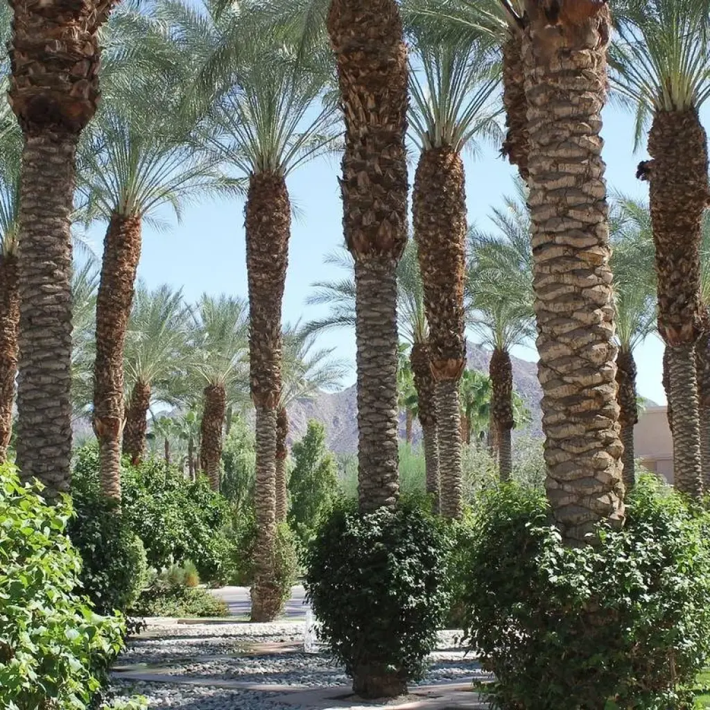 Explore 5 days Casablanca & Marrakech Tour for 5 days with PureMorocco and discover unforgettable experiences - Photo 2