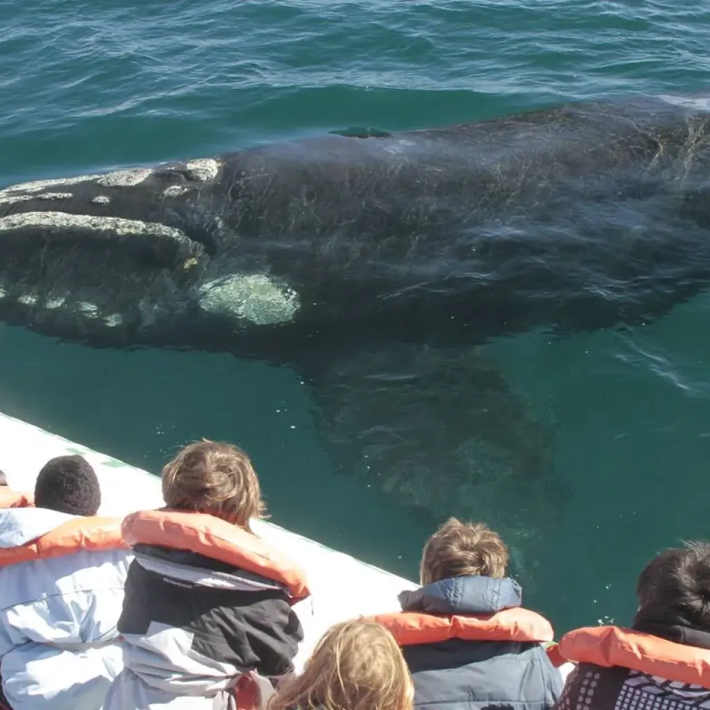 Explore 25 Days - Argentina Grand Tour for 25 days with Qwerty Travel Argentina and discover unforgettable experiences - Photo 2