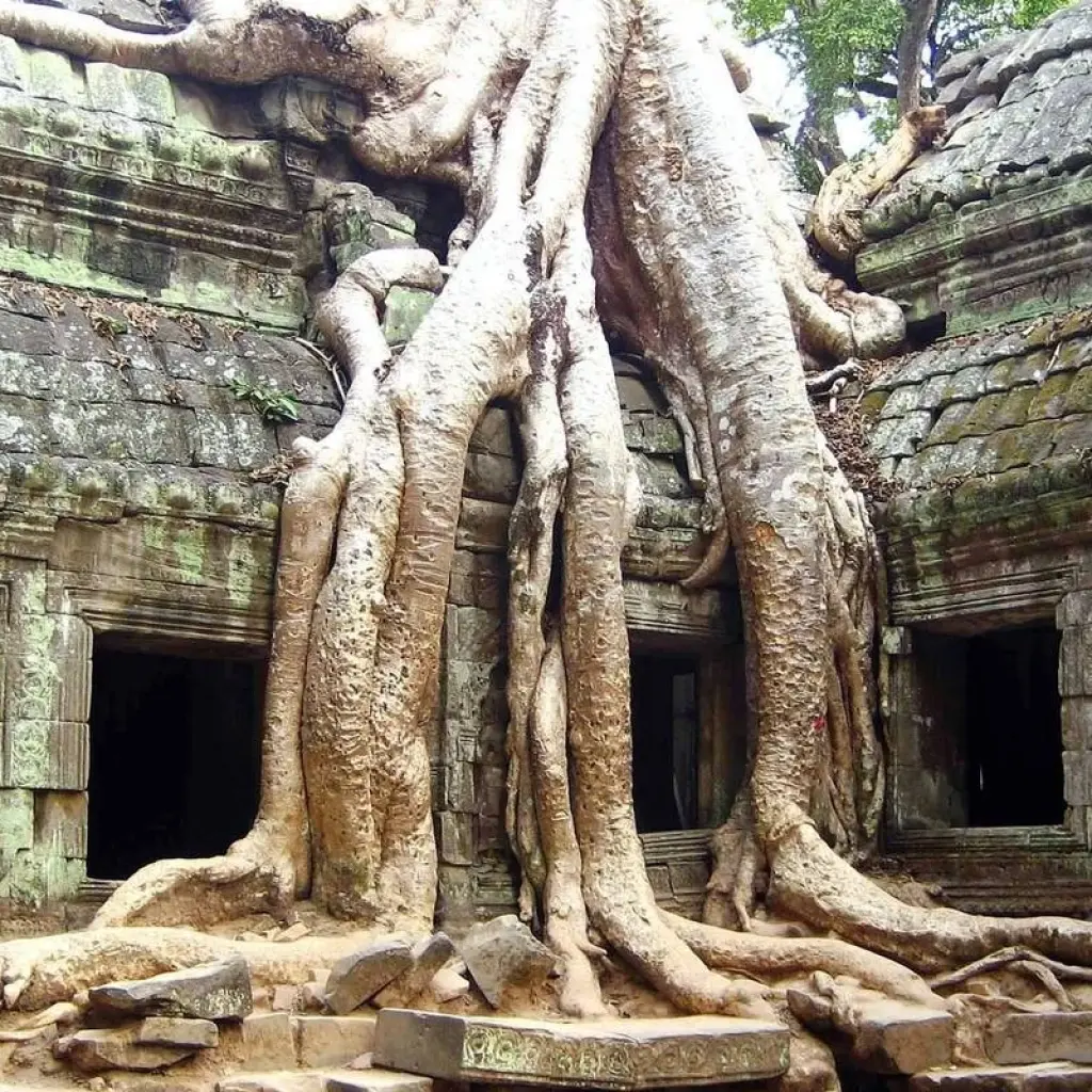 Explore A Taste Of Vietnam And Cambodia In 9 Days for 9 days with Realistic Asia and discover unforgettable experiences - Photo 2