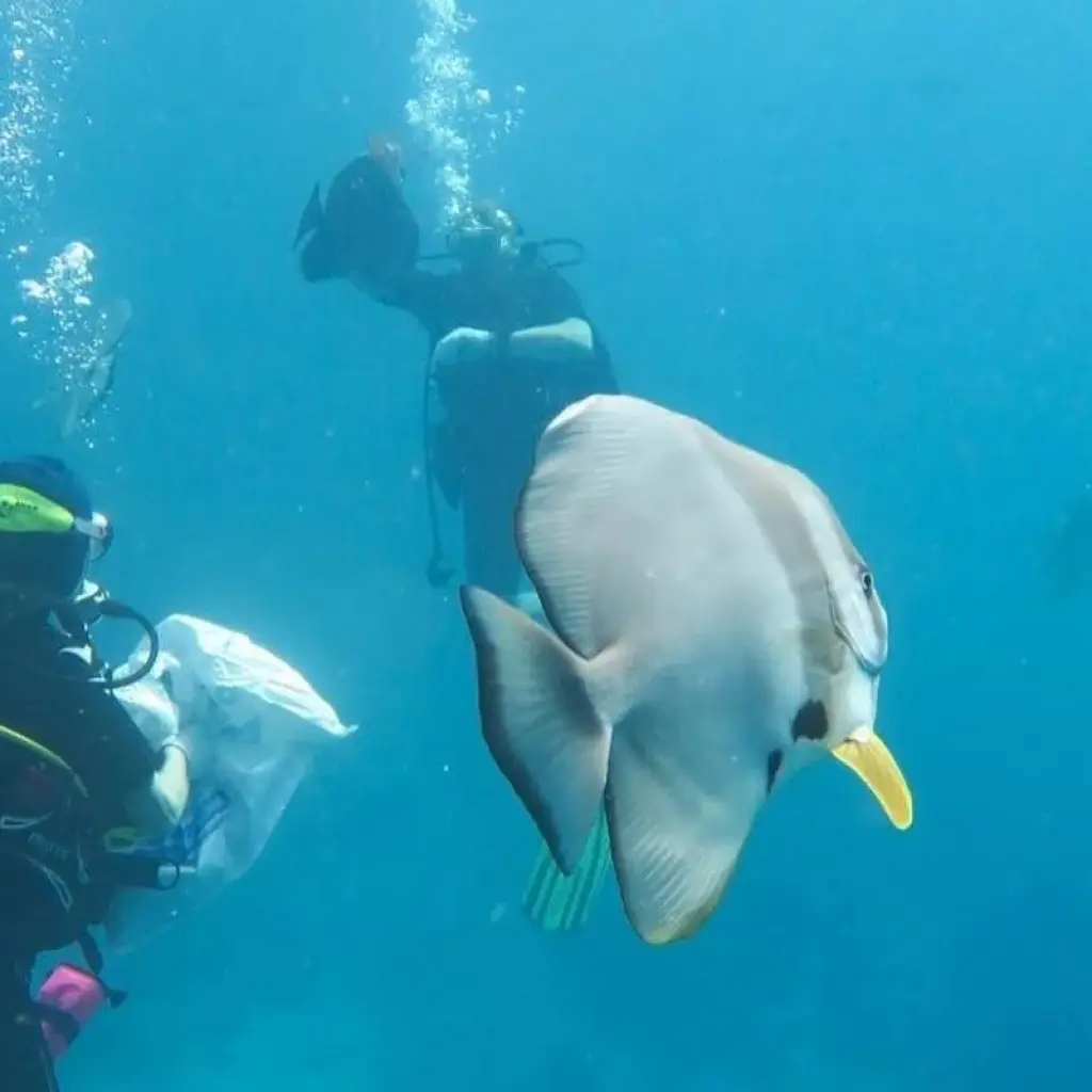 Explore Maldives Luxury Vacation in Water Villa in a 5 Star Private Island Resort for 4 days with Relax Getaways Pvt. Ltd and discover unforgettable experiences - Photo 2