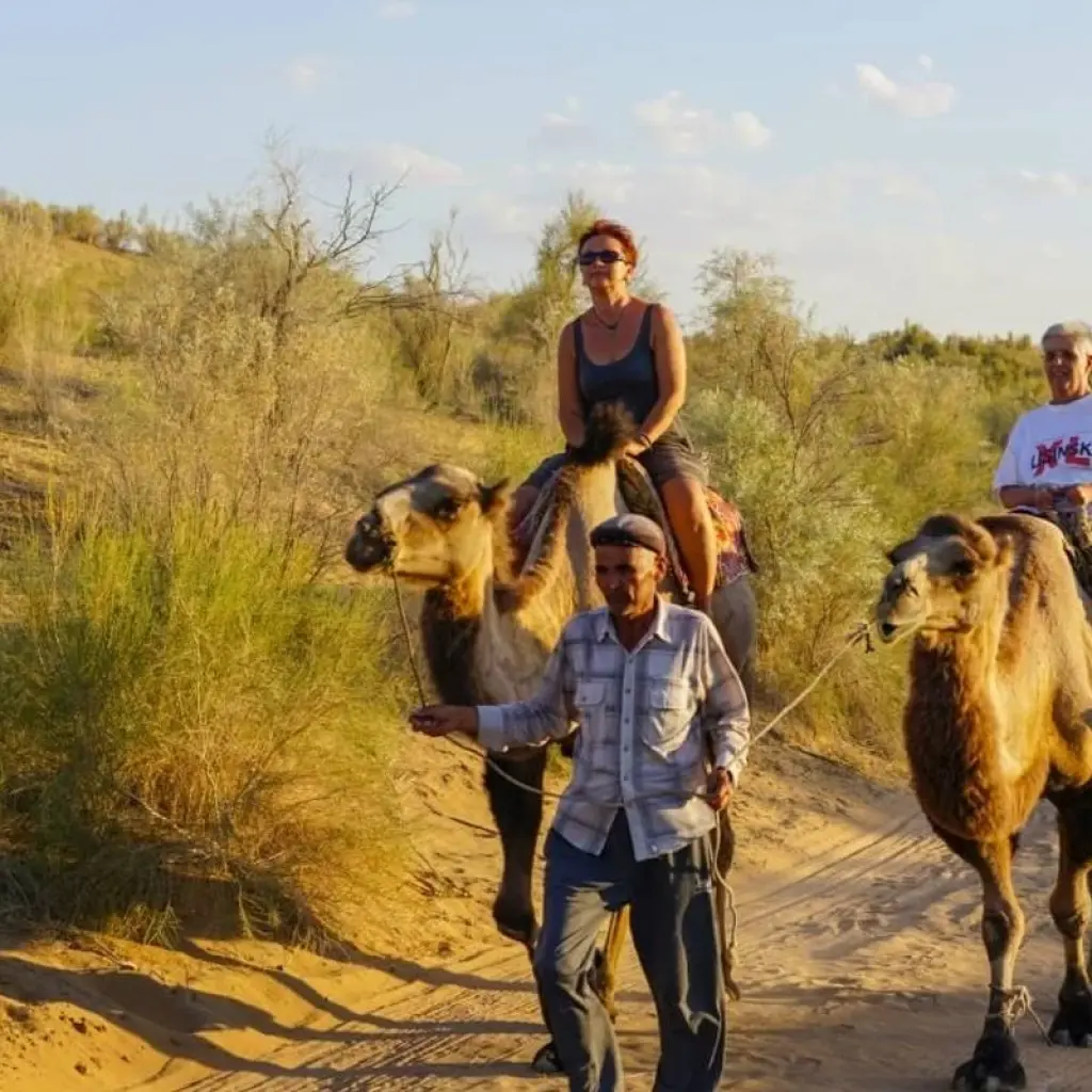 Explore 14-Day Uzbekistan Cultural Adventure Tour for 14 days with Responsible Travel and discover unforgettable experiences - Photo 2