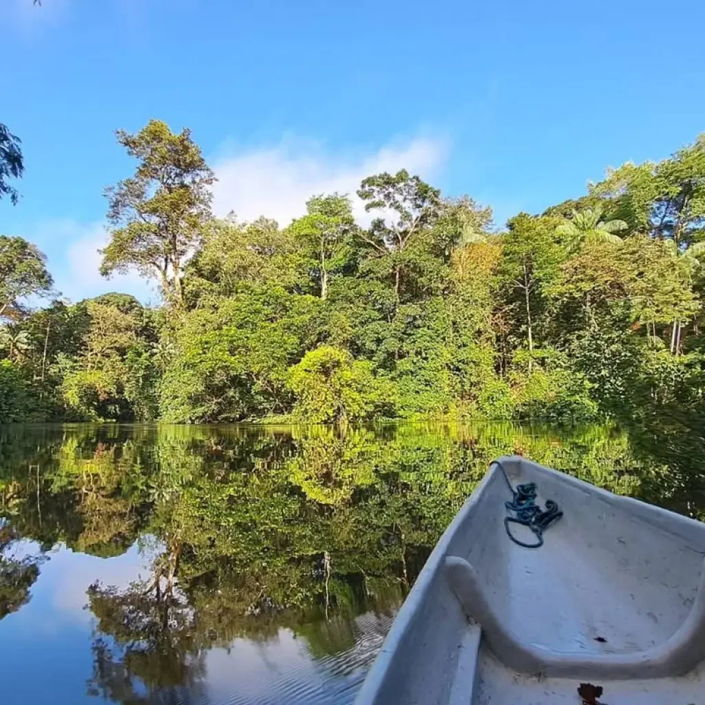 Explore 8 Days Cuyabeno Wildlife Reserve and Middle of the World Discovery for 8 days with Responsible Travel South America and discover unforgettable experiences - Photo 2