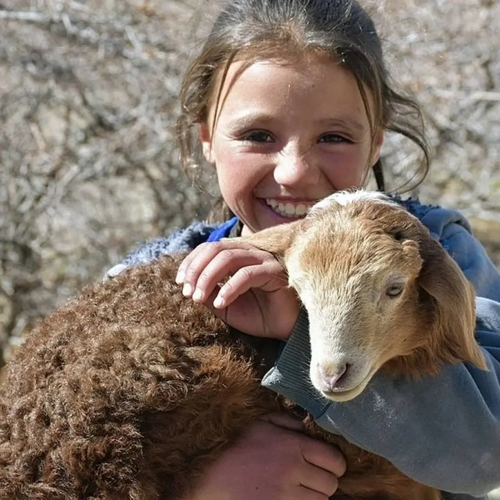 Explore 07 Days Cultural trip Lahore, Swat, Peshawar Valley Pakistan for 7 days with Rock Valley Tours Pvt Ltd and discover unforgettable experiences - Photo 7