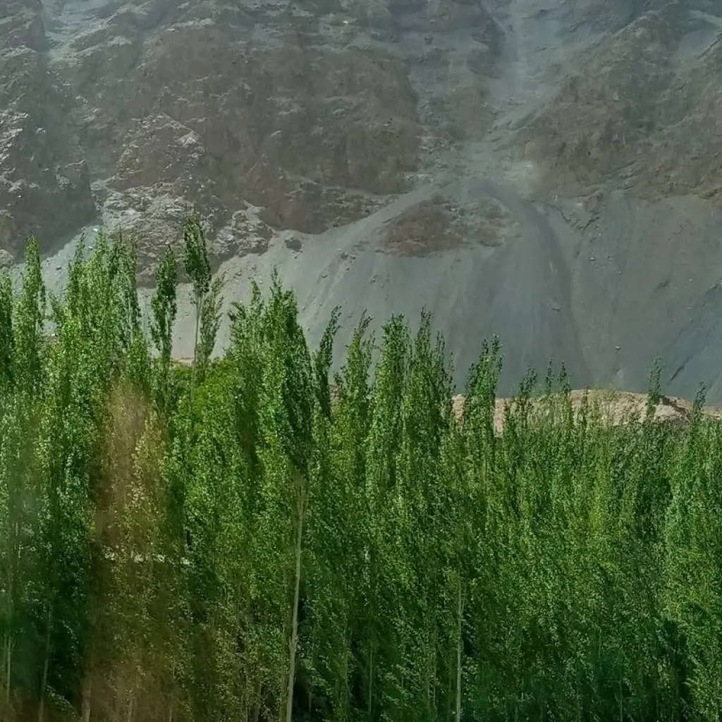 Explore 15 Days Jeep Safari Baltistan & Hunza Gojal Pakistan for 15 days with Rock Valley Tours Pvt Ltd and discover unforgettable experiences - Photo 2