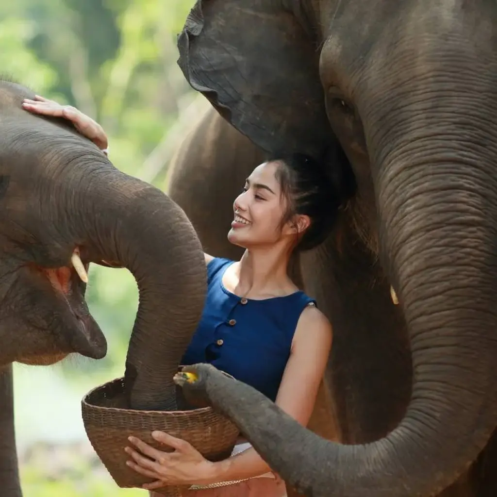 Explore 15 Days Vietnam and Thailand off The Beaten Track  (private guide & driver） for 15 days with UME Travel Co. Ltd and discover unforgettable experiences - Photo 2