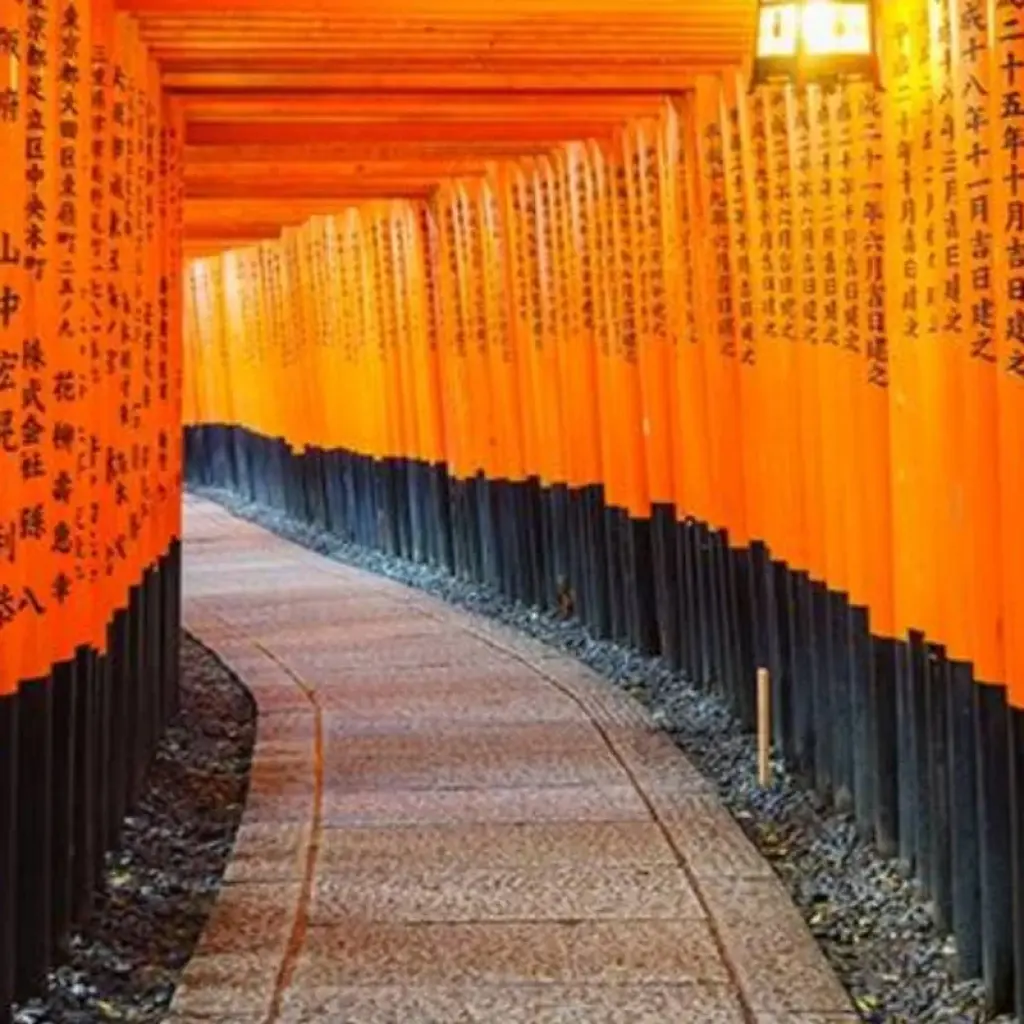 Explore 6 Days Japan's Adventure Classis （Private Guide and Driver）- Umetravel for 6 days with UME Travel Co. Ltd and discover unforgettable experiences - Photo 2