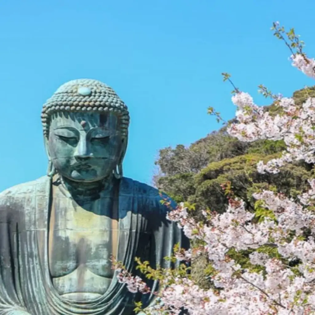 Explore 8 Days Japan's Kanto In-depth Tour（Private Guide and Driver）- Umetravel for 8 days with UME Travel Co. Ltd and discover unforgettable experiences - Photo 2