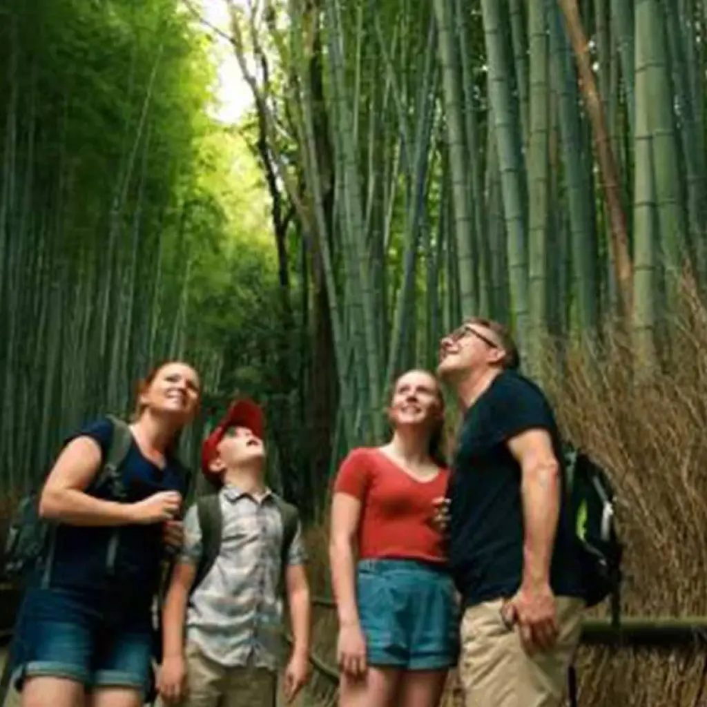 Explore 12 Days Highlights of Japan Tour（Private Guide and Driver）- Umetravel for 12 days with UME Travel Co. Ltd and discover unforgettable experiences - Photo 2