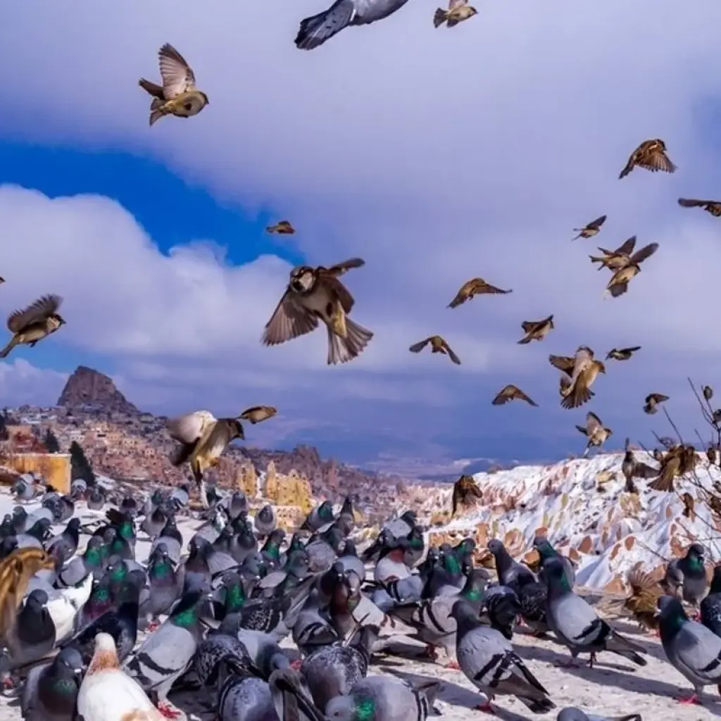Explore 12 Days Turkish Delight for 12 days with Wonderful Holidays UK and discover unforgettable experiences - Photo 2