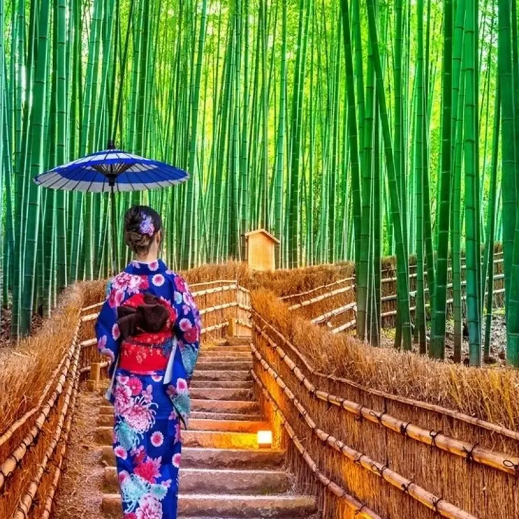 Explore A Classic 11 Day Japan Holiday for 11 days with Wonderful Holidays UK and discover unforgettable experiences - Photo 2