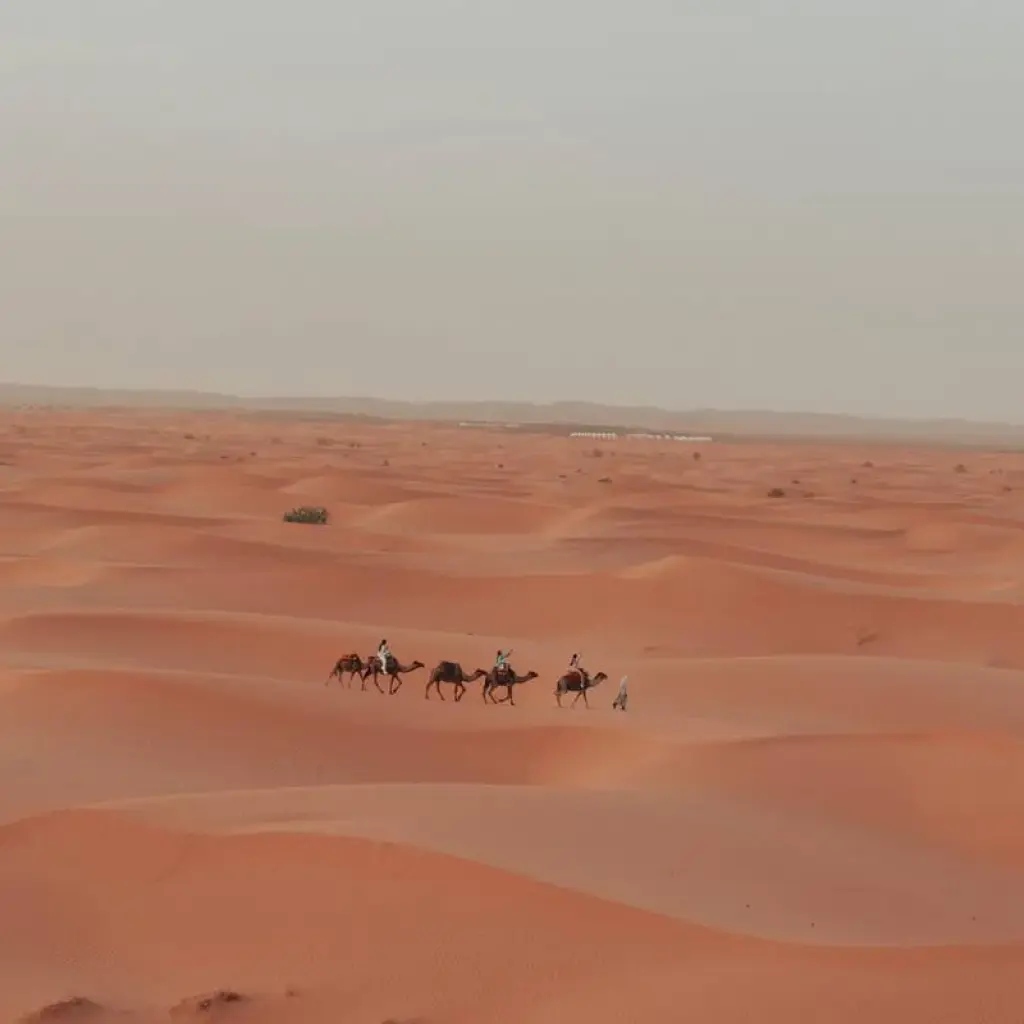 Explore From Marrakech: Student Tour to the Sahara Desert, Morocco for 3 days with Escorted Morocco Tours and discover unforgettable experiences - Photo 2