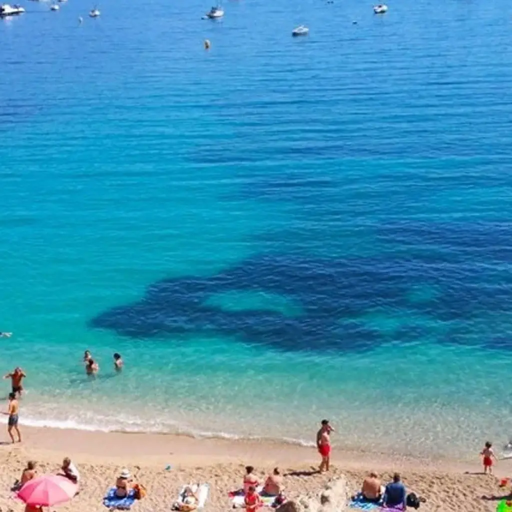 Explore The French Riviera - Monaco-Monte Carlo, Cannes, Nice, Antibes for 4 days with Euroadventures and discover unforgettable experiences - Photo 2