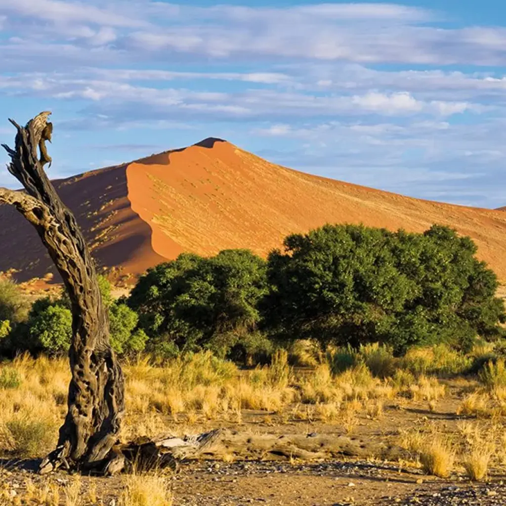 Explore Discover Namibia for 18 days with Gebeco and discover unforgettable experiences - Photo 2