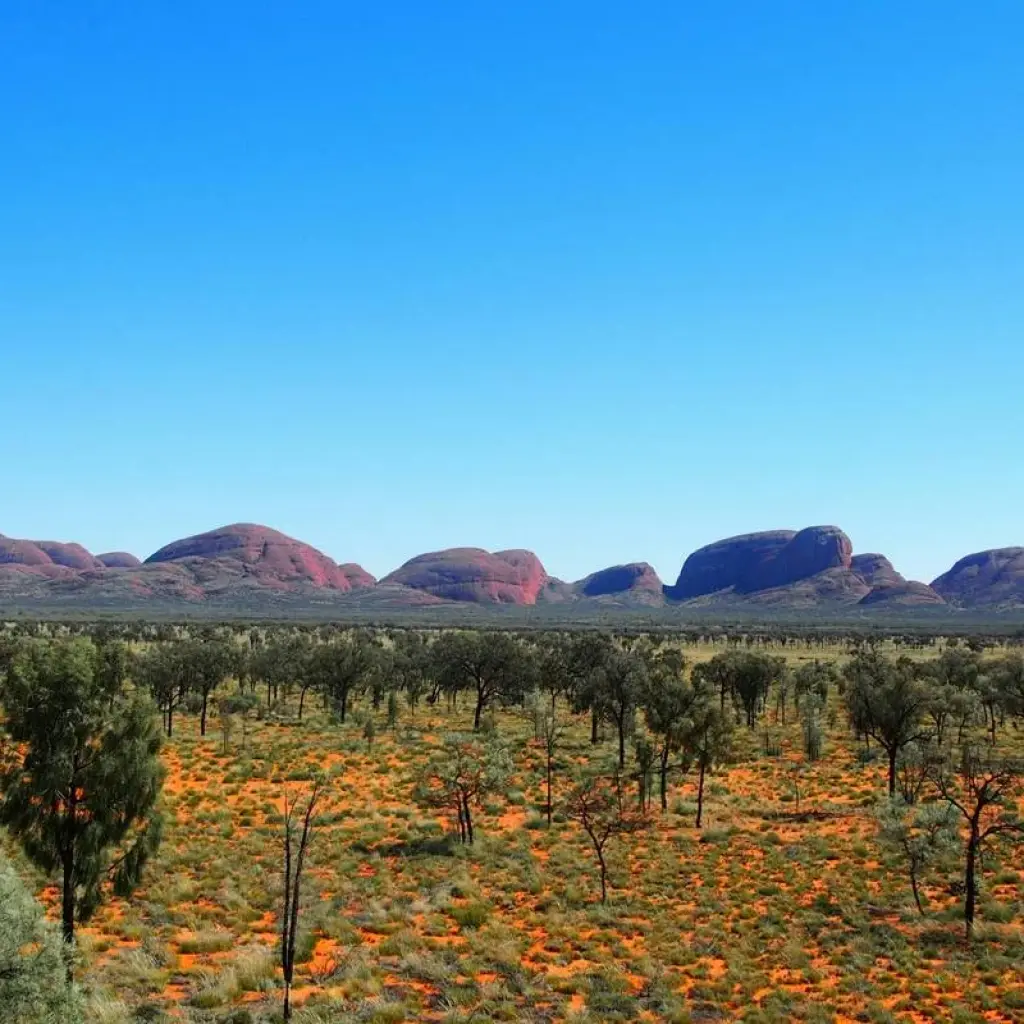Explore Uluru and Kata Tjuta Highlights (Standard, Short Break) for 2 days with AAT Kings and discover unforgettable experiences - Photo 2
