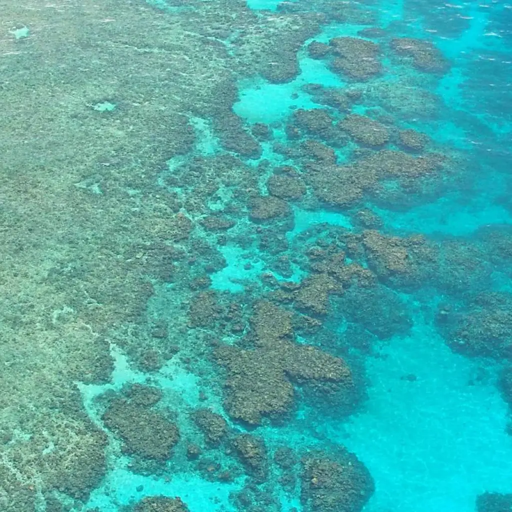 Explore Tropical Reef and Rainforest (Short Break) for 4 days with AAT Kings and discover unforgettable experiences - Photo 2