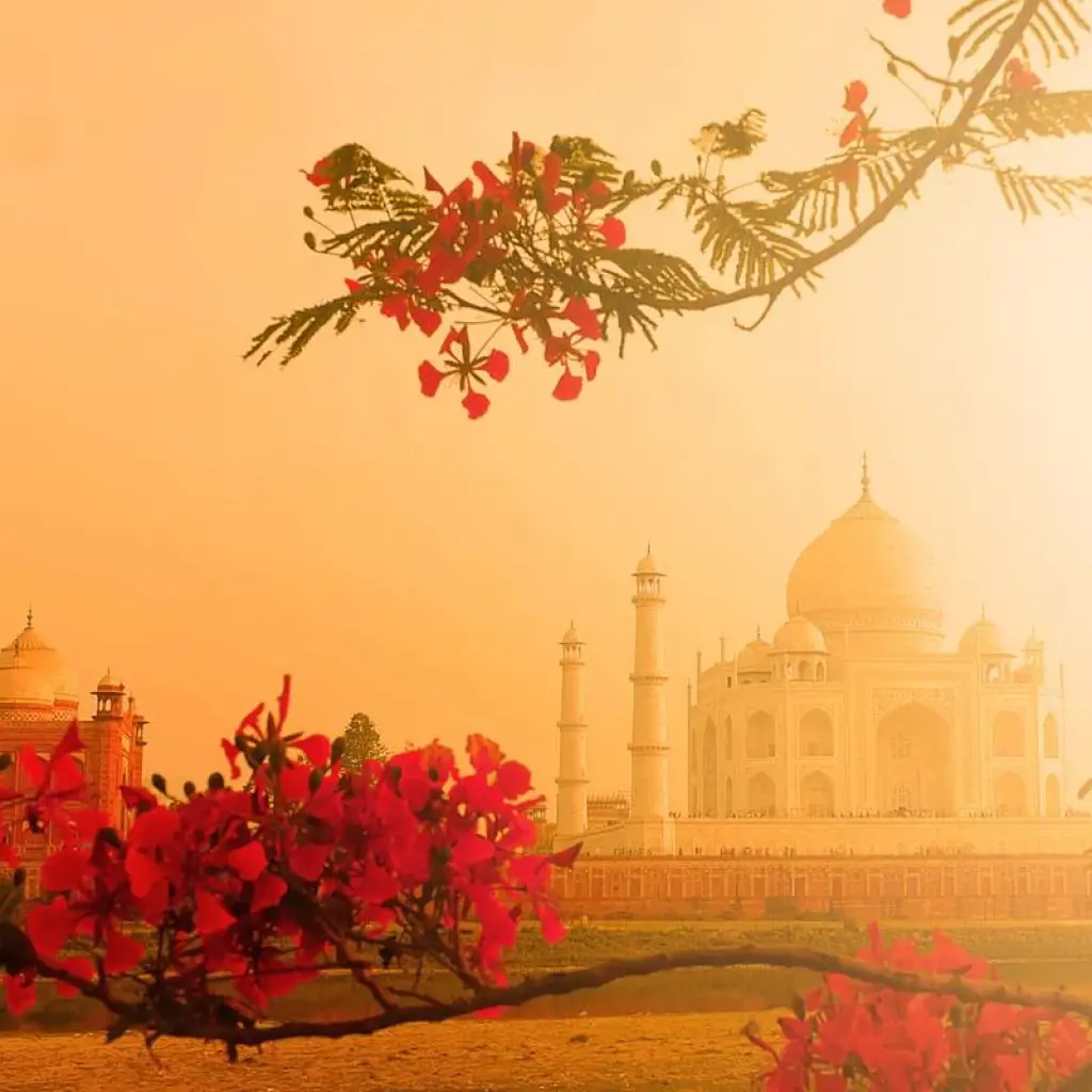 Explore Private 2-Day Taj Mahal Sunrise Trip from Delhi: Luxury Hotels and Skip-the-Line Tickets for 2 days with Adreva Trotter Pvt Ltd and discover unforgettable experiences - Photo 2
