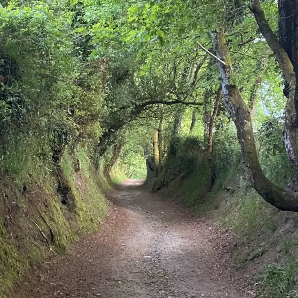 Explore Camino de Santiago (Francés) Guided *TREK* (All Inclusive) for 33 days with Climbing Mountains and discover unforgettable experiences - Photo 2